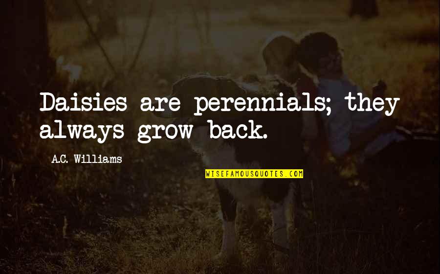 Perennials Quotes By A.C. Williams: Daisies are perennials; they always grow back. Perennials Quotes By A.C. Williams: Daisies are perennials; they always grow back.