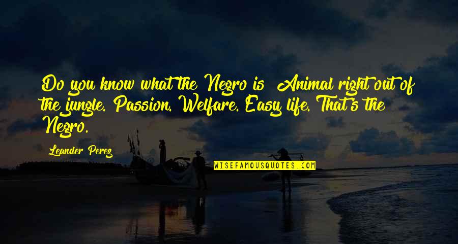 Perez's Quotes By Leander Perez: Do you know what the Negro is? Animal