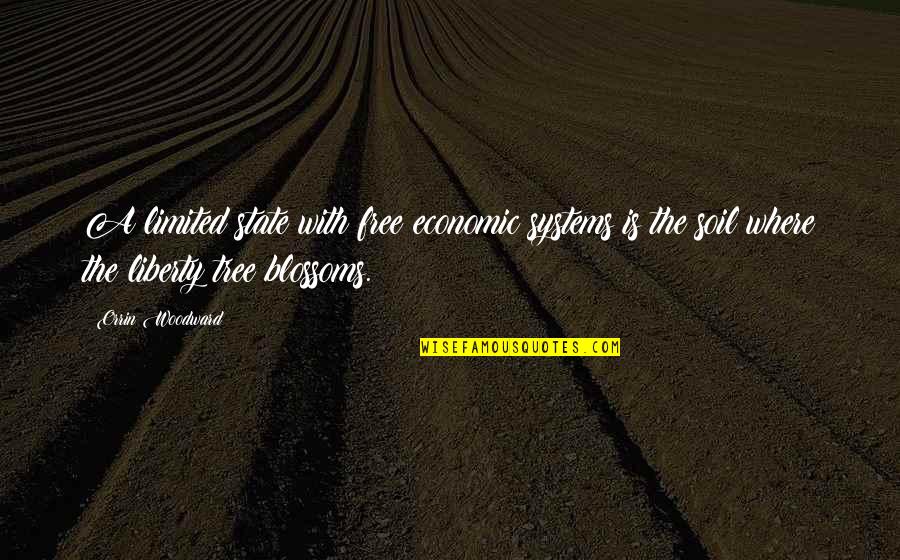 Perezvoni Quotes By Orrin Woodward: A limited state with free economic systems is Perezvoni Quotes By Orrin Woodward: A limited state with free economic systems is