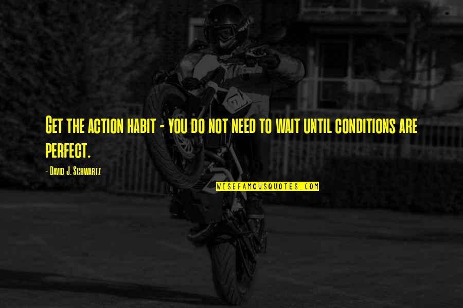 Perfect Conditions Quotes By David J. Schwartz: Get the action habit - you do not