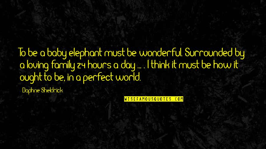 Perfect Day Quotes By Daphne Sheldrick: To be a baby elephant must be wonderful.