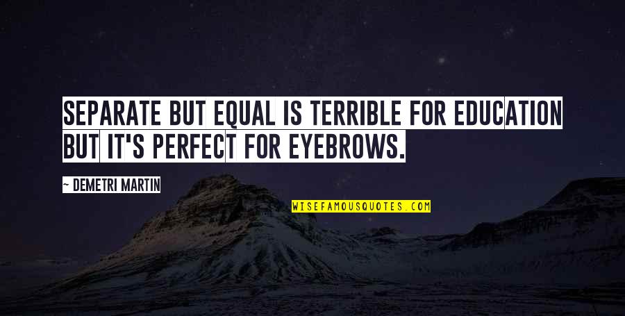 Perfect Eyebrows Quotes By Demetri Martin: Separate but equal is terrible for education but