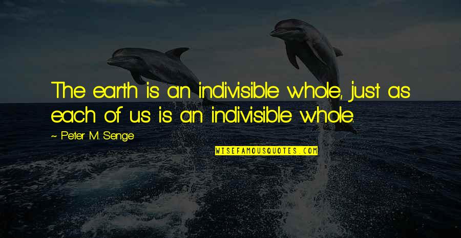 Perfect Fifths Quotes By Peter M. Senge: The earth is an indivisible whole, just as