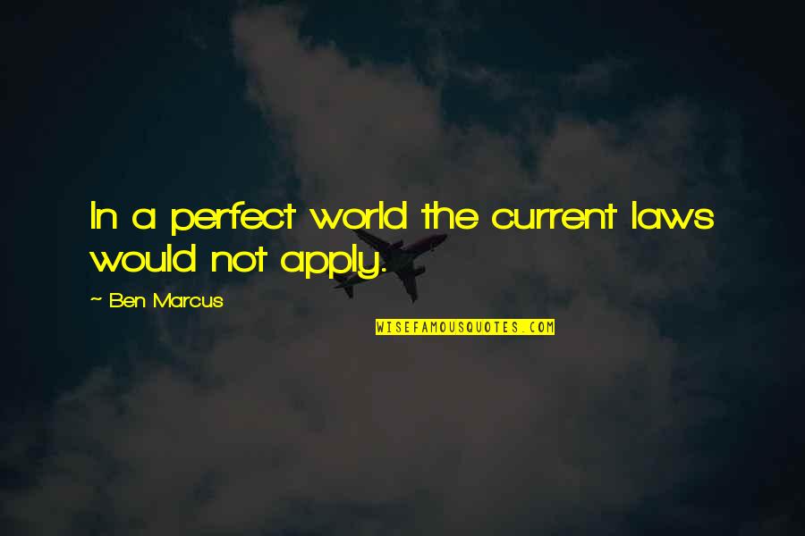Perfect In Quotes By Ben Marcus: In a perfect world the current laws would