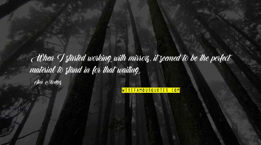 Perfect In Quotes By Jim Hodges: When I started working with mirrors, it seemed
