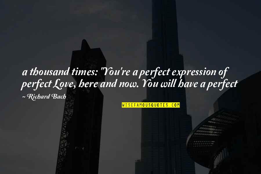 Perfect Love You Quotes By Richard Bach: a thousand times: "You're a perfect expression of