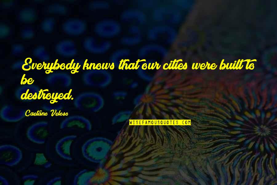 Perfect Man Tumblr Quotes By Caetano Veloso: Everybody knows that our cities were built to