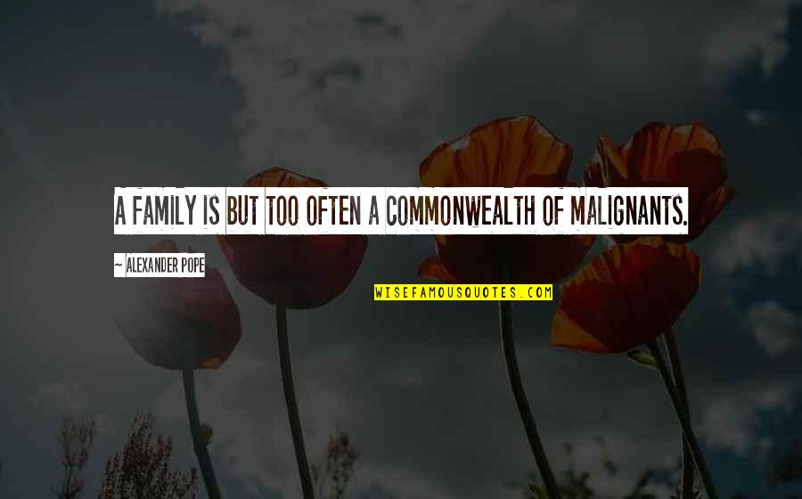 Perfect Matrimony Quotes By Alexander Pope: A family is but too often a commonwealth