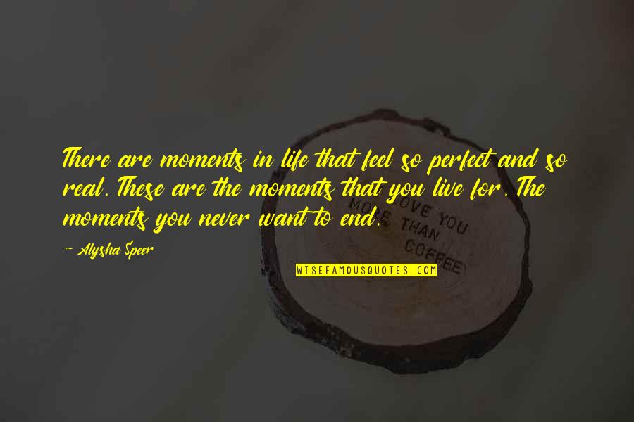 Perfect Moments In Life Quotes By Alysha Speer: There are moments in life that feel so