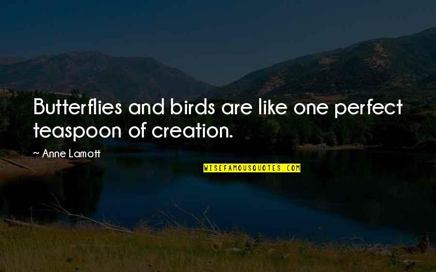 Perfect One Quotes By Anne Lamott: Butterflies and birds are like one perfect teaspoon