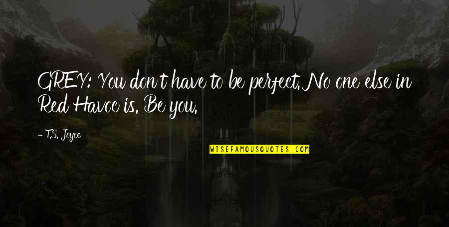 Perfect One Quotes By T.S. Joyce: GREY: You don't have to be perfect. No