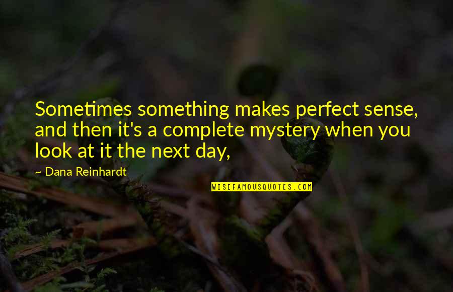 Perfect Sense Quotes By Dana Reinhardt: Sometimes something makes perfect sense, and then it's