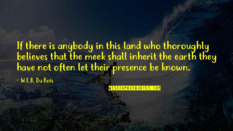 Perfect Society Quotes By W.E.B. Du Bois: If there is anybody in this land who