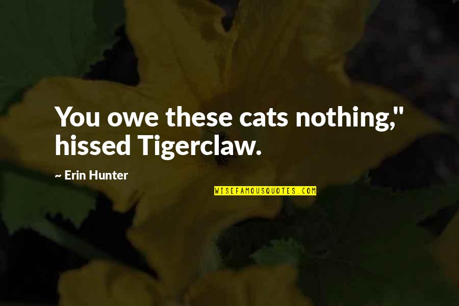 Perfect Summer Days Quotes By Erin Hunter: You owe these cats nothing," hissed Tigerclaw. Perfect Summer Days Quotes By Erin Hunter: You owe these cats nothing," hissed Tigerclaw.