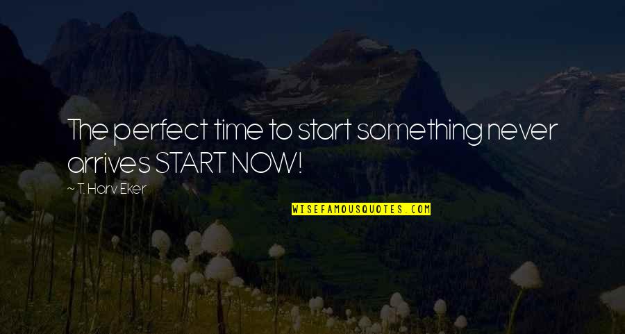 Perfect Timing Quotes By T. Harv Eker: The perfect time to start something never arrives