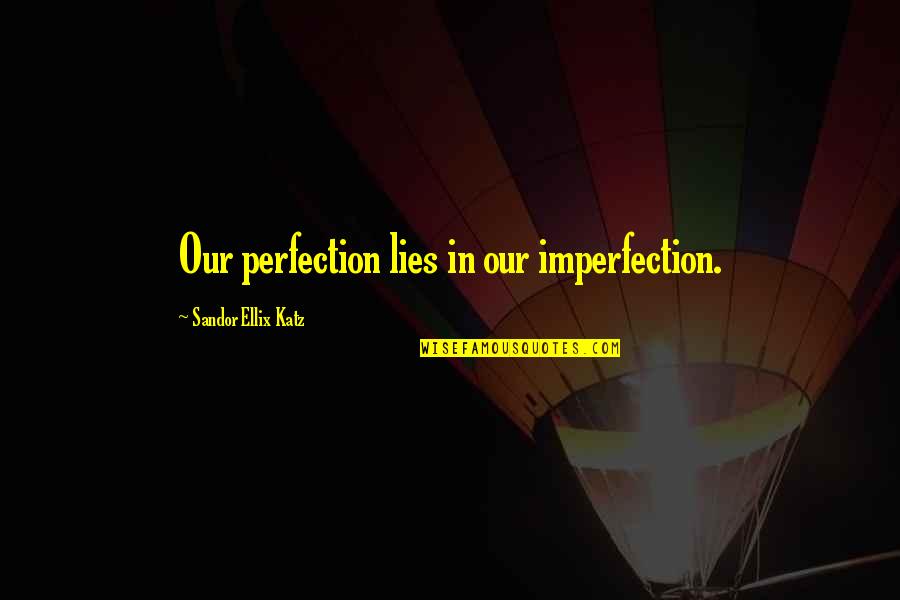Perfection And Imperfection Quotes By Sandor Ellix Katz: Our perfection lies in our imperfection.