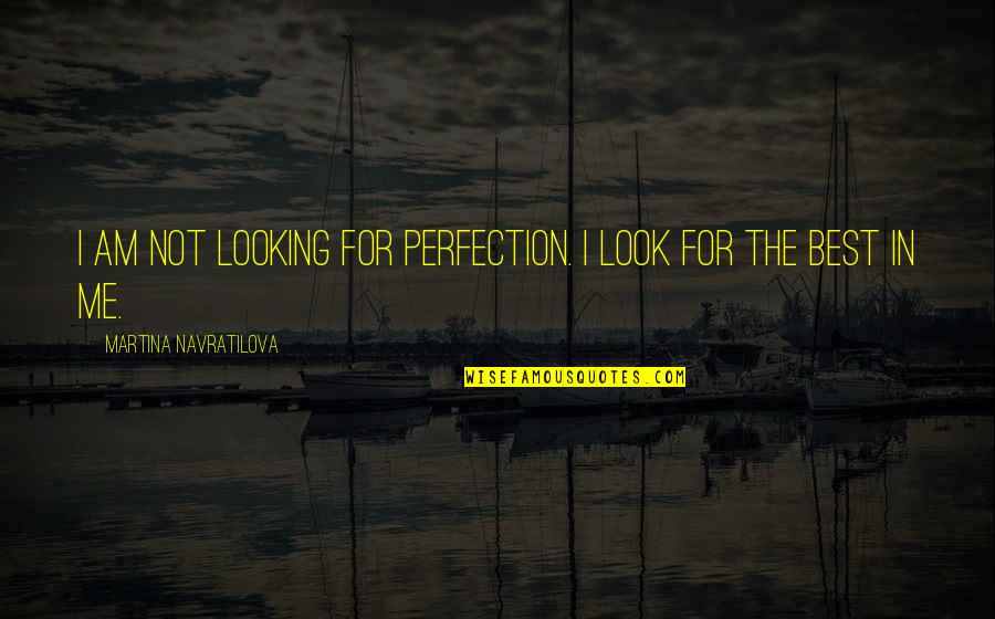 Perfection In Sports Quotes By Martina Navratilova: I am not looking for perfection. I look