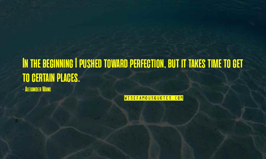 Perfection Takes Time Quotes By Alexander Wang: In the beginning I pushed toward perfection, but