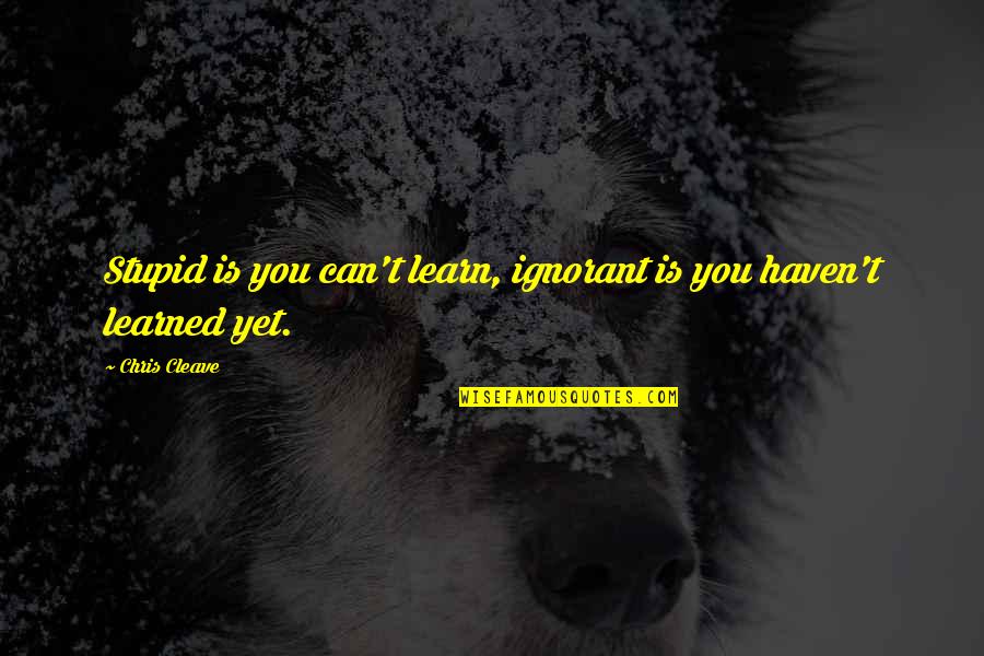 Perfectioning Quotes By Chris Cleave: Stupid is you can't learn, ignorant is you