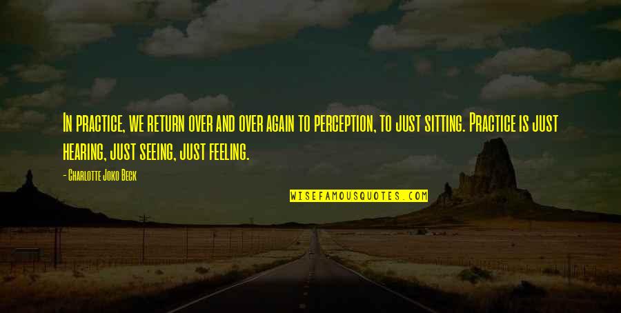 Perfectionism And Life Quotes By Charlotte Joko Beck: In practice, we return over and over again