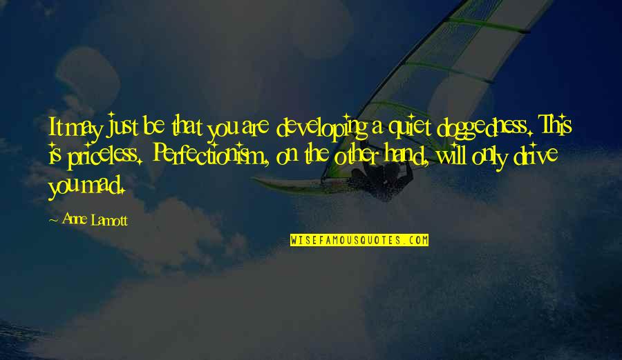 Perfectionism Quotes By Anne Lamott: It may just be that you are developing