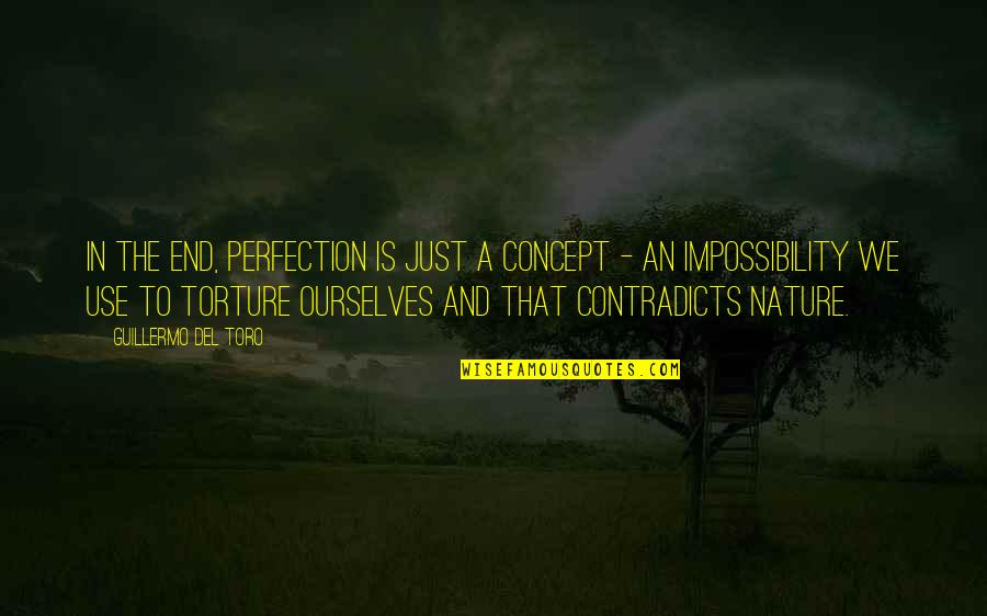 Perfectionism Quotes By Guillermo Del Toro: In the end, perfection is just a concept