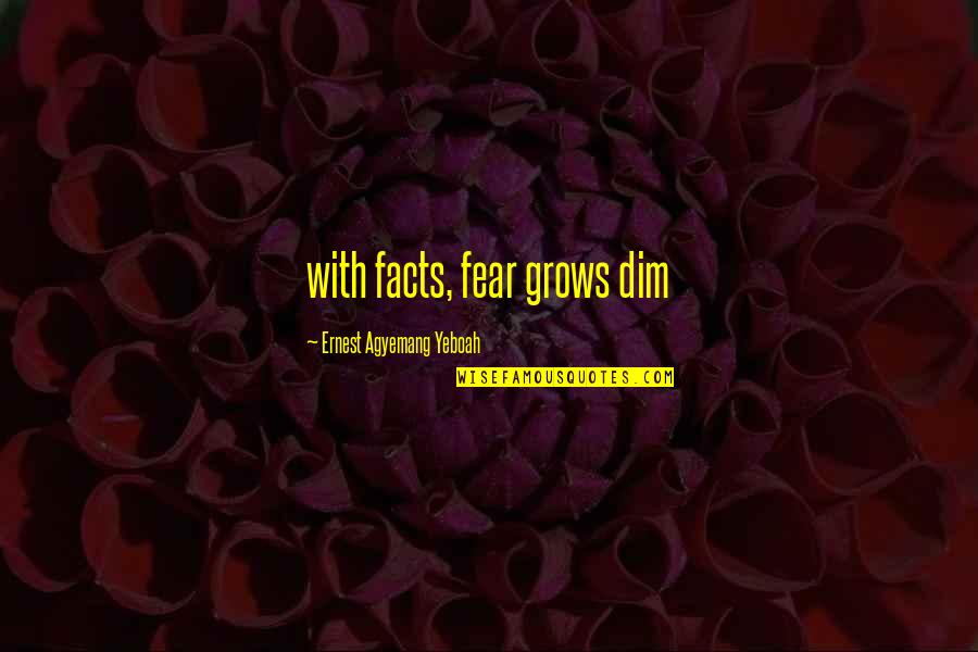Perfectionists Quotes By Ernest Agyemang Yeboah: with facts, fear grows dim Perfectionists Quotes By Ernest Agyemang Yeboah: with facts, fear grows dim