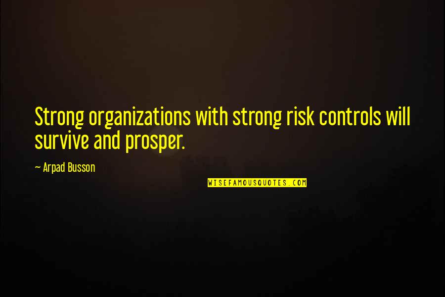 Perfeksionisme Quotes By Arpad Busson: Strong organizations with strong risk controls will survive