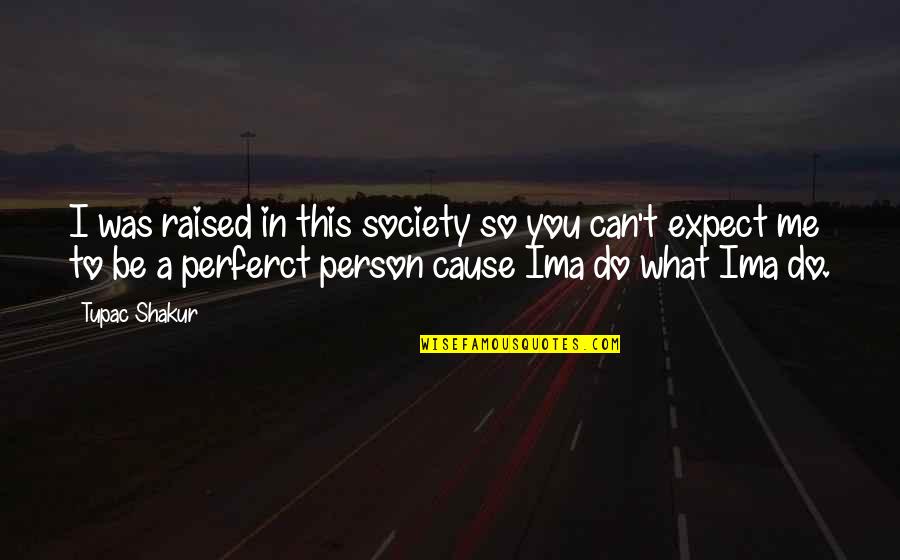 Perferct Quotes By Tupac Shakur: I was raised in this society so you