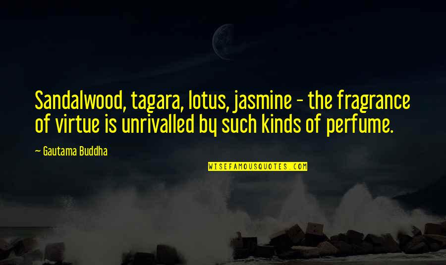 Perfume Fragrance Quotes By Gautama Buddha: Sandalwood, tagara, lotus, jasmine - the fragrance of