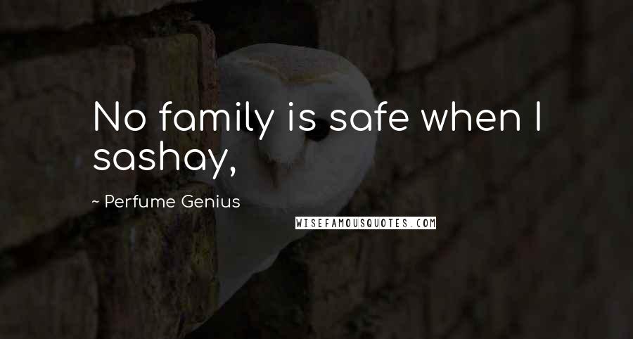 Perfume Genius quotes: No family is safe when I sashay,