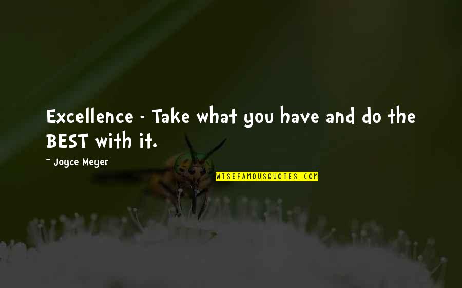 Perfusionist Quotes By Joyce Meyer: Excellence - Take what you have and do