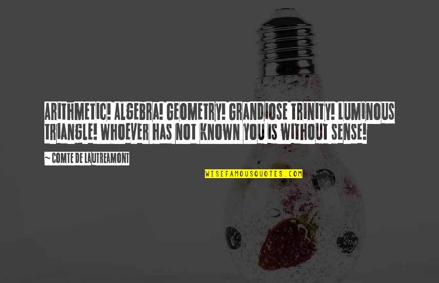 Pergolakan Dan Quotes By Comte De Lautreamont: Arithmetic! Algebra! Geometry! Grandiose trinity! Luminous triangle! Whoever Pergolakan Dan Quotes By Comte De Lautreamont: Arithmetic! Algebra! Geometry! Grandiose trinity! Luminous triangle! Whoever