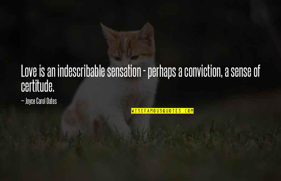 Perhaps Love Quotes By Joyce Carol Oates: Love is an indescribable sensation - perhaps a