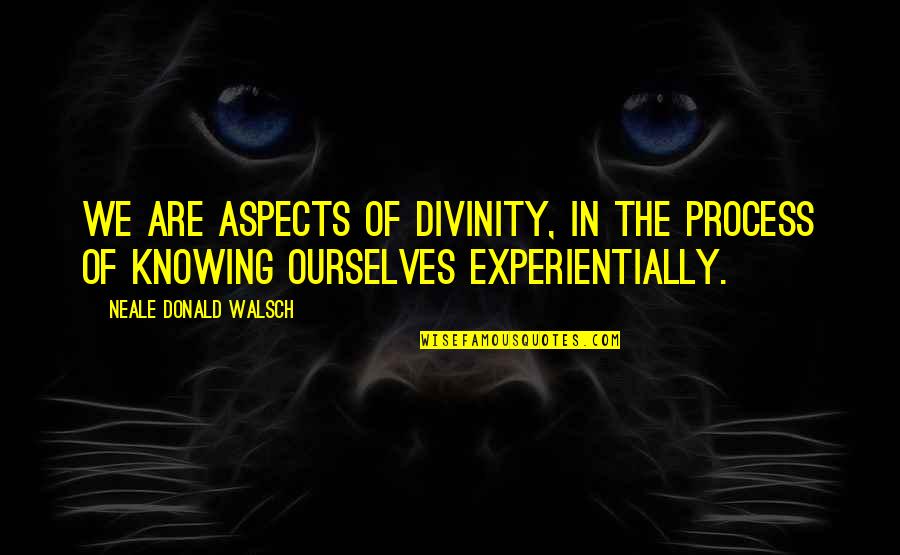 Pericula Vitae Quotes By Neale Donald Walsch: We are aspects of Divinity, in the process Pericula Vitae Quotes By Neale Donald Walsch: We are aspects of Divinity, in the process