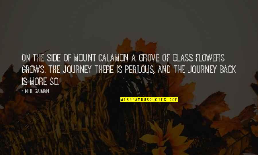 Perilous Journey Quotes By Neil Gaiman: On the side of Mount Calamon a grove
