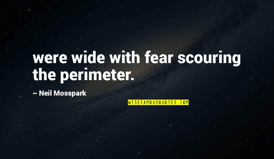 Perimeter Quotes By Neil Mosspark: were wide with fear scouring the perimeter.