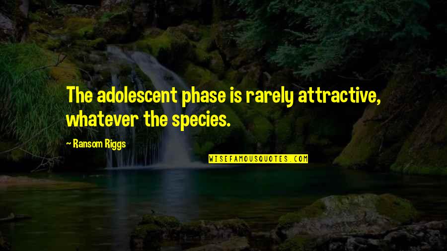 Perineum Massaging Quotes By Ransom Riggs: The adolescent phase is rarely attractive, whatever the