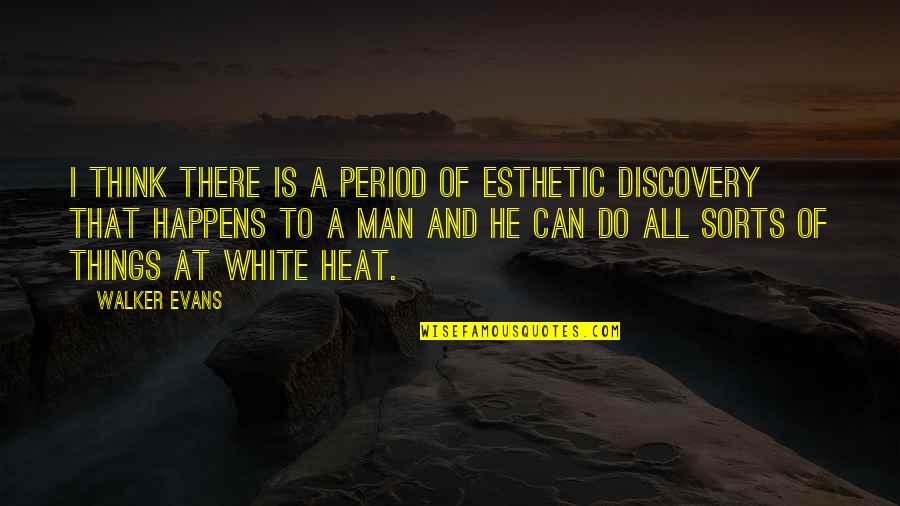 Period And Quotes By Walker Evans: I think there is a period of esthetic