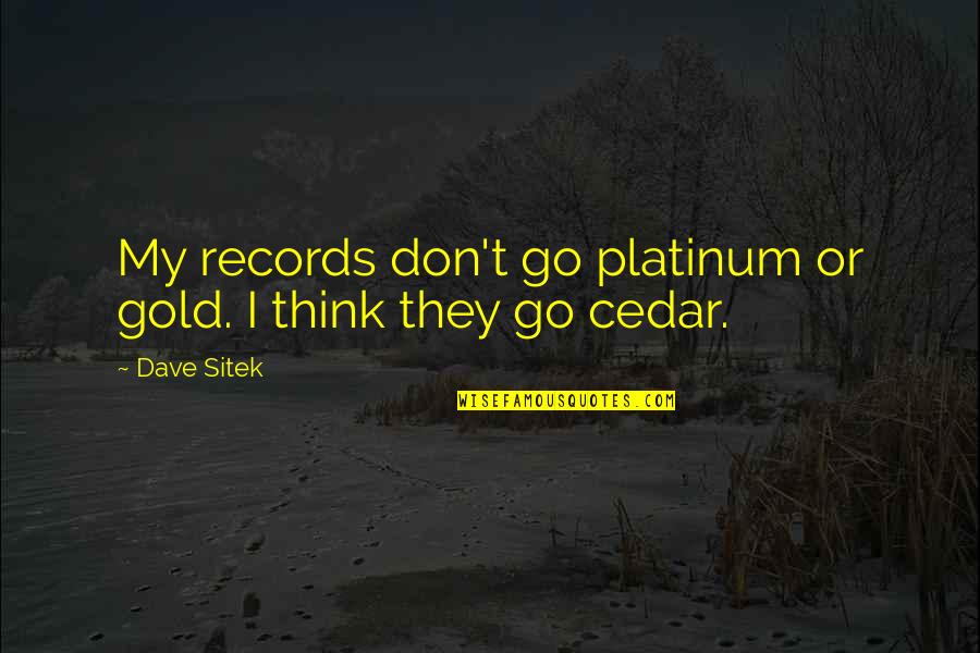 Periphrastic Epithet Quotes By Dave Sitek: My records don't go platinum or gold. I