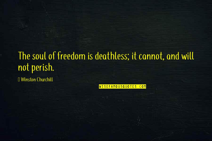 Perish Quotes By Winston Churchill: The soul of freedom is deathless; it cannot,