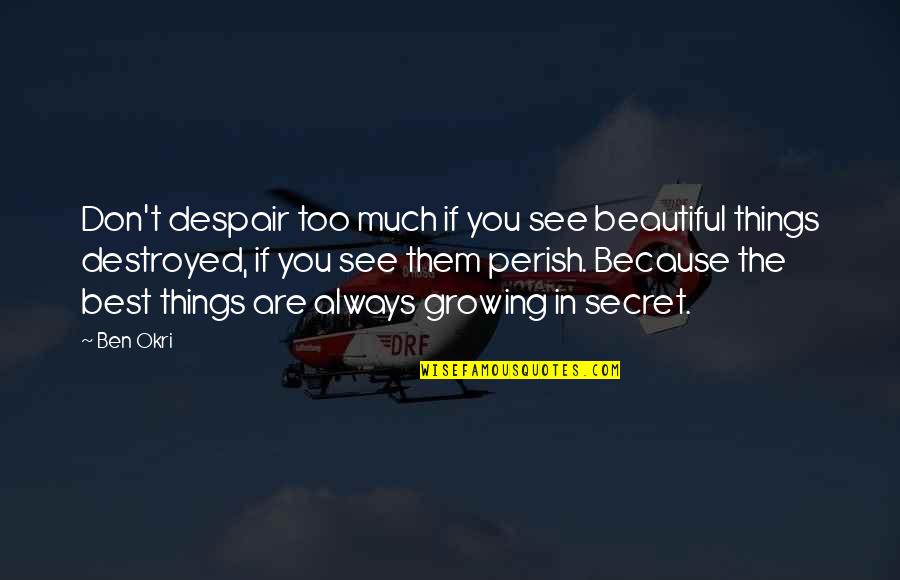 Perish'd Quotes By Ben Okri: Don't despair too much if you see beautiful