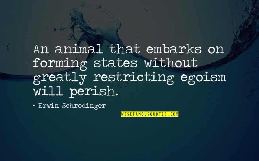 Perish'd Quotes By Erwin Schrodinger: An animal that embarks on forming states without