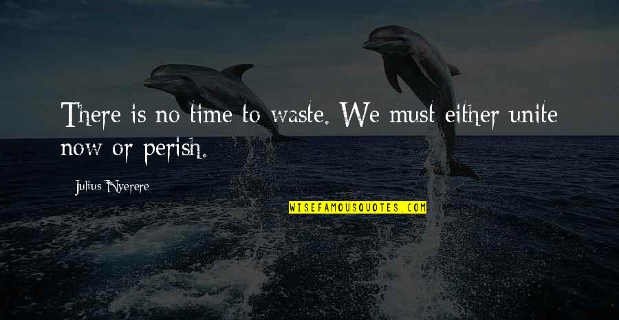 Perish'd Quotes By Julius Nyerere: There is no time to waste. We must