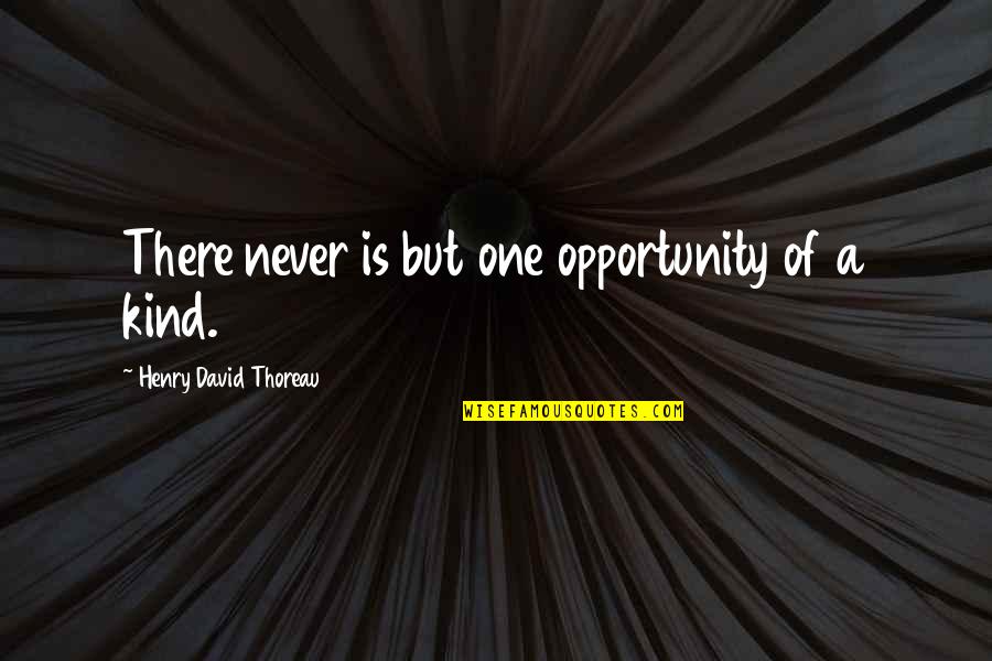 Perjuicios De Las Bacterias Quotes By Henry David Thoreau: There never is but one opportunity of a