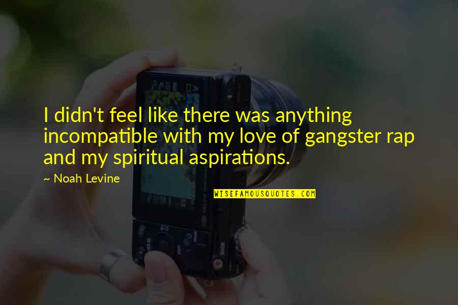 Perjuicios De Los Virus Quotes By Noah Levine: I didn't feel like there was anything incompatible