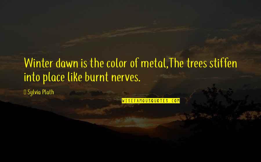 Perjuring Diesel Quotes By Sylvia Plath: Winter dawn is the color of metal,The trees