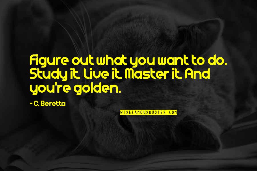 Perkataan Berimbuhan Quotes By C. Beretta: Figure out what you want to do. Study