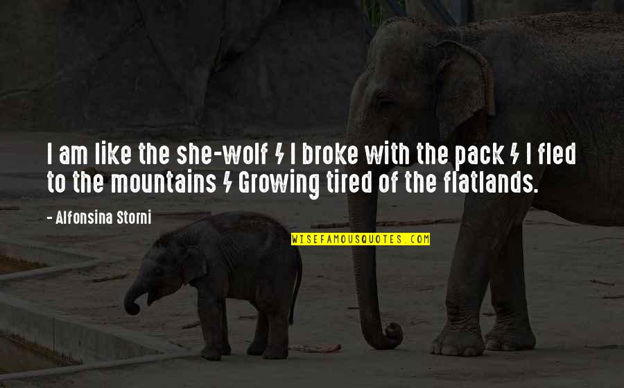 Perlengkapan Quotes By Alfonsina Storni: I am like the she-wolf / I broke