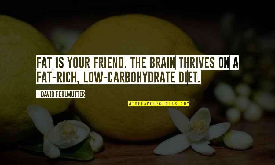Perlmutter's Quotes By David Perlmutter: Fat is your friend. The brain thrives on